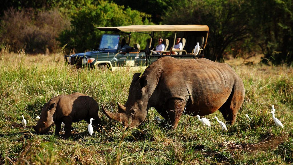 rhino-sanctuary